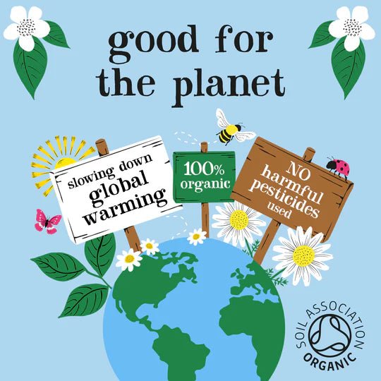 Clipper Peppermint Infusion - add to your gift box at Out of the Box Gifts