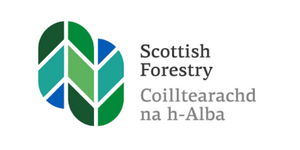 Sustainable Treats For Your Team