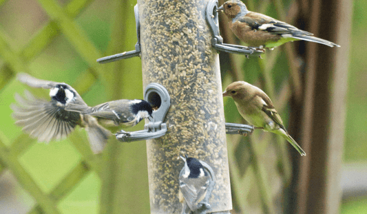 5 Feel-Good Gifts That Support The Environment - Out of the Box Gifts