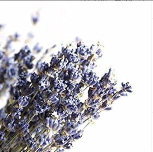 lavender is a natural sleep aid