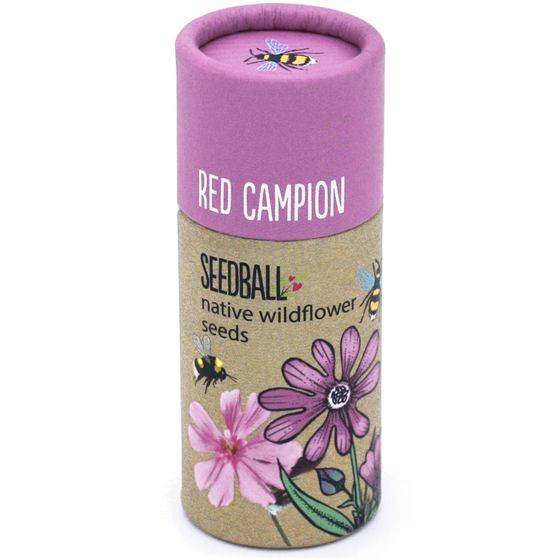 Red Campion Seed Balls