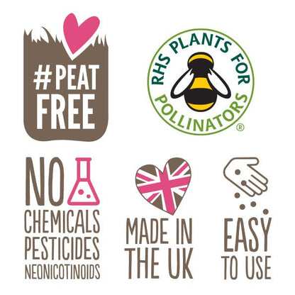 Happy Christmas Seed Boxes - add to your gift box at Out of the Box Gifts