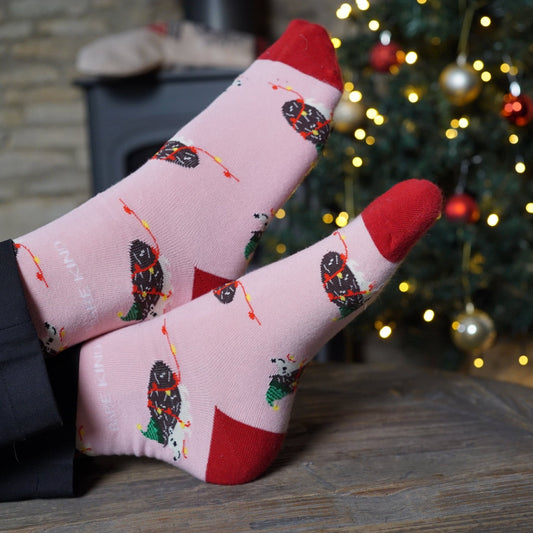 Christmas Hedgehog Socks - add to your gift box at Out of the Box Gifts