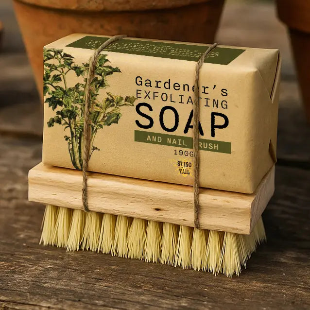 Gardener's Olive Oil Soap & Nail Brush