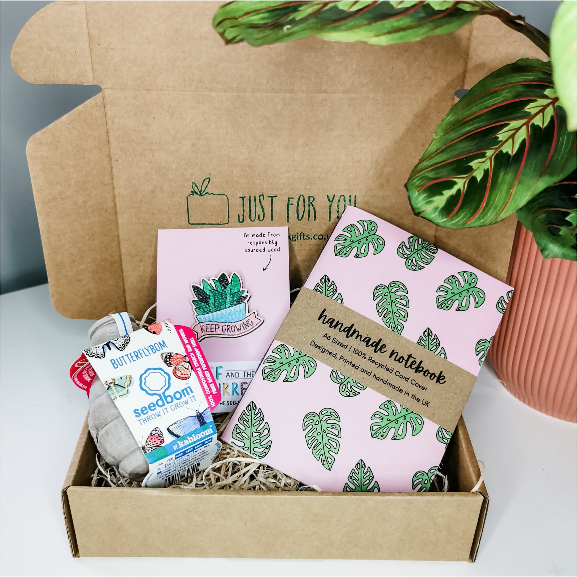 The Keep Growing Gift Box Buy at Out of the Box Gifts